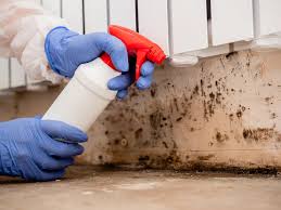 Best Mold Prevention Services  in Kearney Park, MS